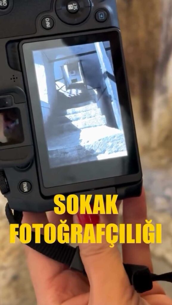eğitim54